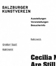 Salzburger Kunstverein – Website